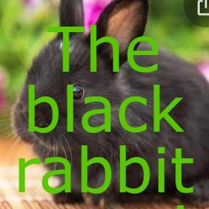 The blackrabbitgang’s Podcast