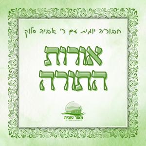 אורות התורה | חבורה יומית עם ר' אביה סלוק | ישיבת מצפה יריחו