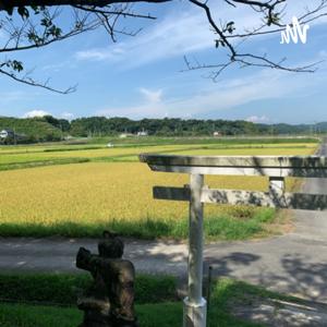 ナガヤマラジオ