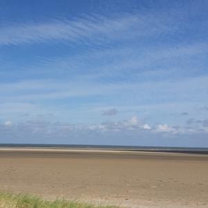 Wir machen die Regeln nicht