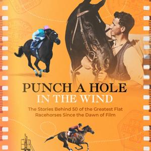 Punch a Hole in the Wind
