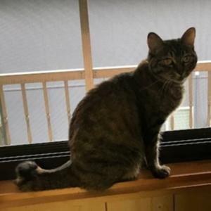 ネットひとり起業１６年以上＠むらもとすなおのビジネスとスピリチュアルラジオ