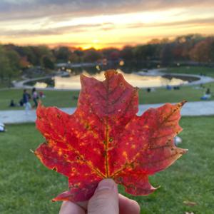 Kanada’da Doğum Hikayesi