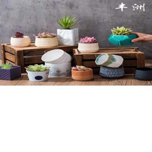 Cây Sen Đá – Cà Phê Vườn Sen Đá