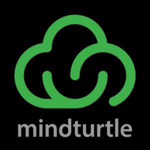 Z Raporu (mindturtle.com)