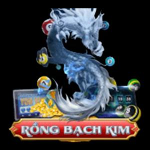 Rồng bạch kim me