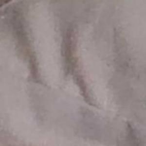 History for Dummies (By Dummies)