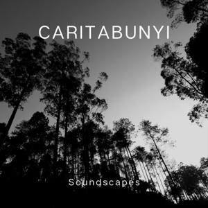 Caritabunyi - Soundscapes