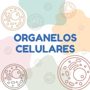 ORGANELOS CELULARES.