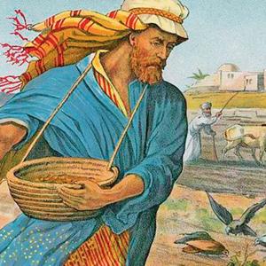 Youth Bible Week 2023, The Four Soils