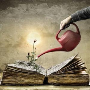 Life In A Stanza