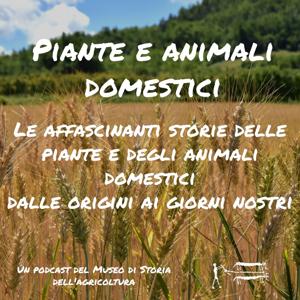 Piante e animali domestici