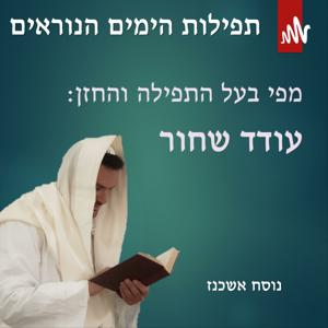 תפילות הימים הנוראים - עודד שחור