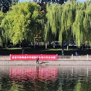 浮光掠影