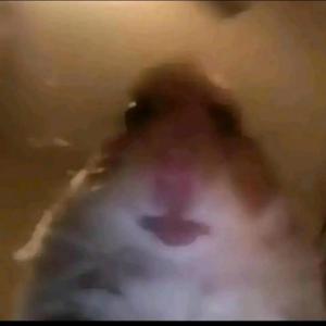 re zutanatertim al sosabup