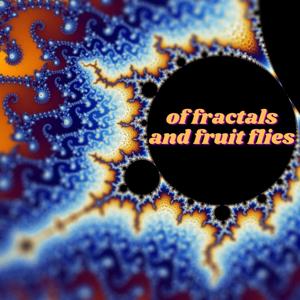 Of Fractals and Fruit Flies