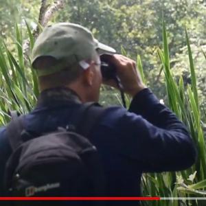 naturestimeline