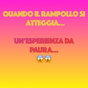 Quando pensi di aver trovato il lavoro ideale....ed invece è un incubo!😱😱