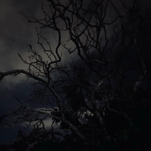 Twist of Fate
