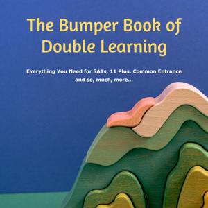 What is the Double Learning Technique?