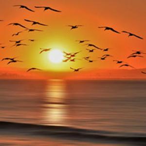 ="Kalmomin Rai","Bishara","Waƙoƙin Bishara"-Harsunan da ake Magana a Nigeria Inda Kiristoci 'yan tsiraru ne (Lamba131-166) // "Words of Life","Good News","Gospel Songs"-in Nigeria, These People Have Ethnic or Islam as their Major Religion(No.131-166)=