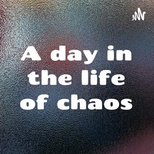 A day in the life of chaos