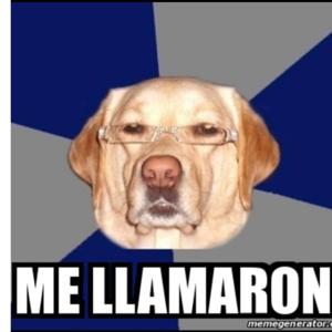 Me llamaron