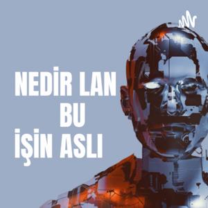 NEDİR LAN BU İŞİN ASLI