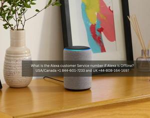Alexa Customer Service Number +1 844:601:7233 Alexa Helpline