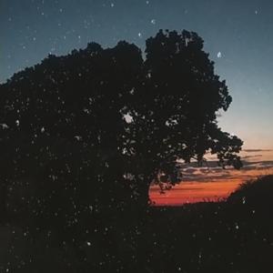 Consultorio De Noche