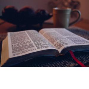 The Godly Counsel