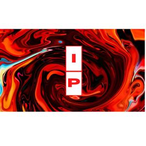 The Idiotic Perspective