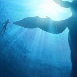 Avatar 2 Trailer Song