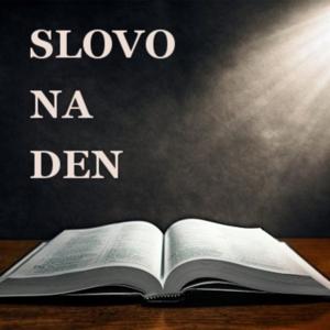 SLOVO NA DEN
