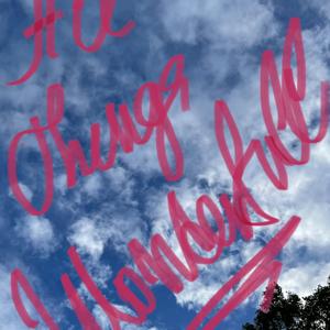 All Things Wonderful