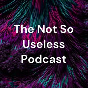 The Not So Useless Podcast