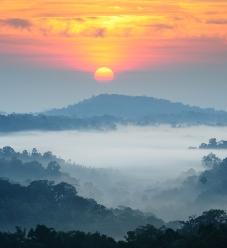 Out of the Fog Minute