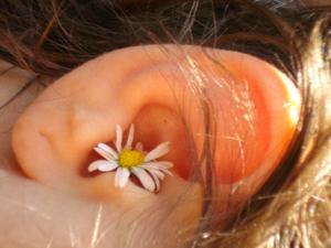 MiA - Menschen in Aktion