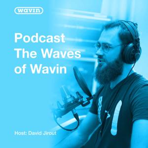The Waves of Wavin