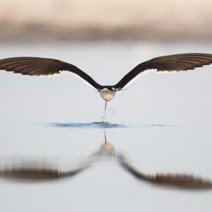 "Kalmomin Rayuwa","Labarai Mai Kyau","Wakokin Bishara"-Manyan Harsuna da ake a Najeriy /"Words of Life","Good News","Gospel Songs"-Main Languages Spoken in Nigeria/"Awọn Ọrọ Igbesi aye","Irohin Ayọ","Awọn orin Ihinrere"-Awọn ede pataki ti a sọ ni Nigeria