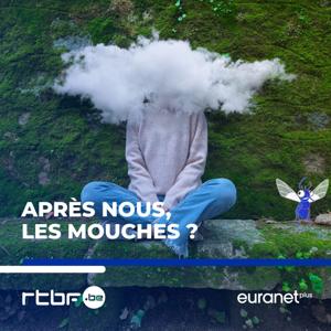 Après nous, les mouches ?