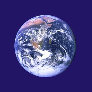 Making it on Planet Earth