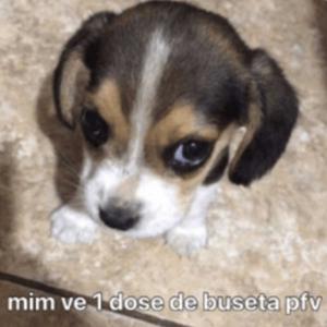 AUTOMOTIVO VAPO VAPO