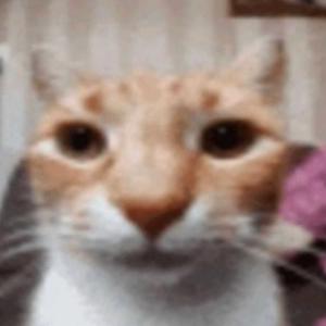 Songs I Think Are Cool
