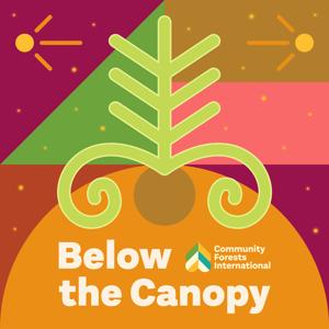 Below the Canopy