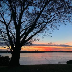 Charlotte's Staging World