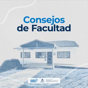 Consejos de Facultad