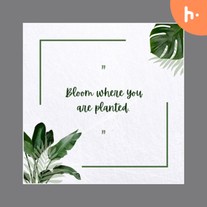 സിംഹവും മുയലും