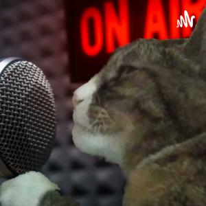 Know what I meme, Vern?