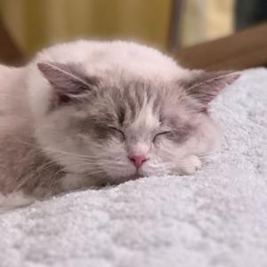 Breathe Justin Breathe